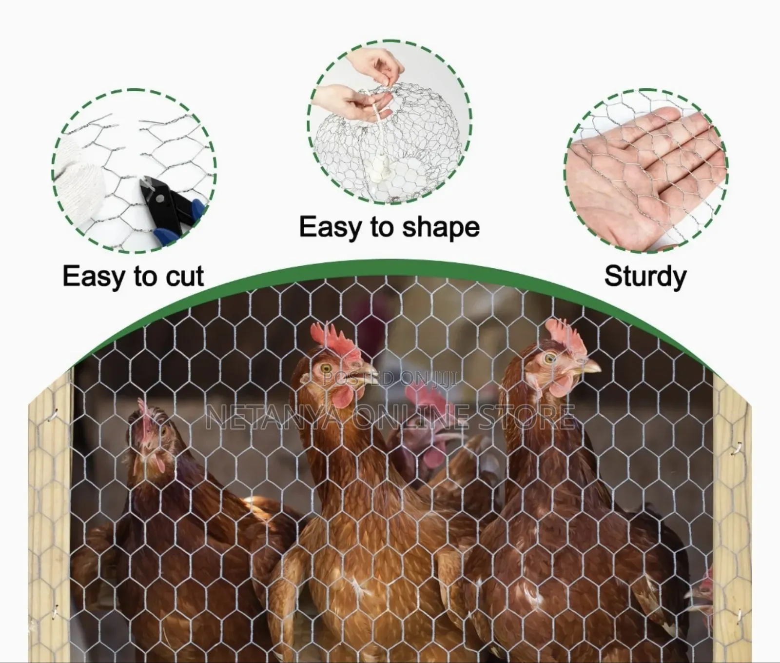 1*25m Galvanised Chicken Wire Mesh