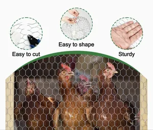 1*25m Galvanised Chicken Wire Mesh