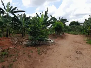 Hf Acre in Matuga Town on Sale at Only 65m