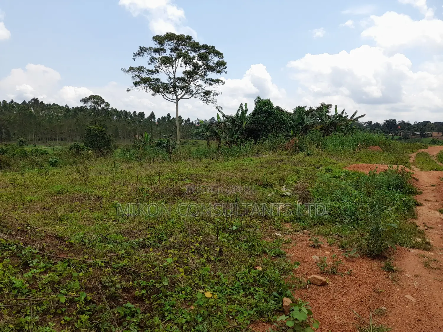 Hf Acre in Matuga Town on Sale at Only 65m