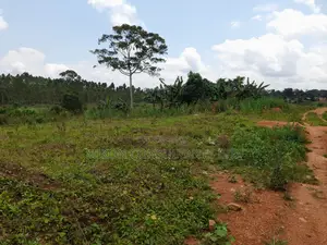 Hf Acre in Matuga Town on Sale at Only 65m
