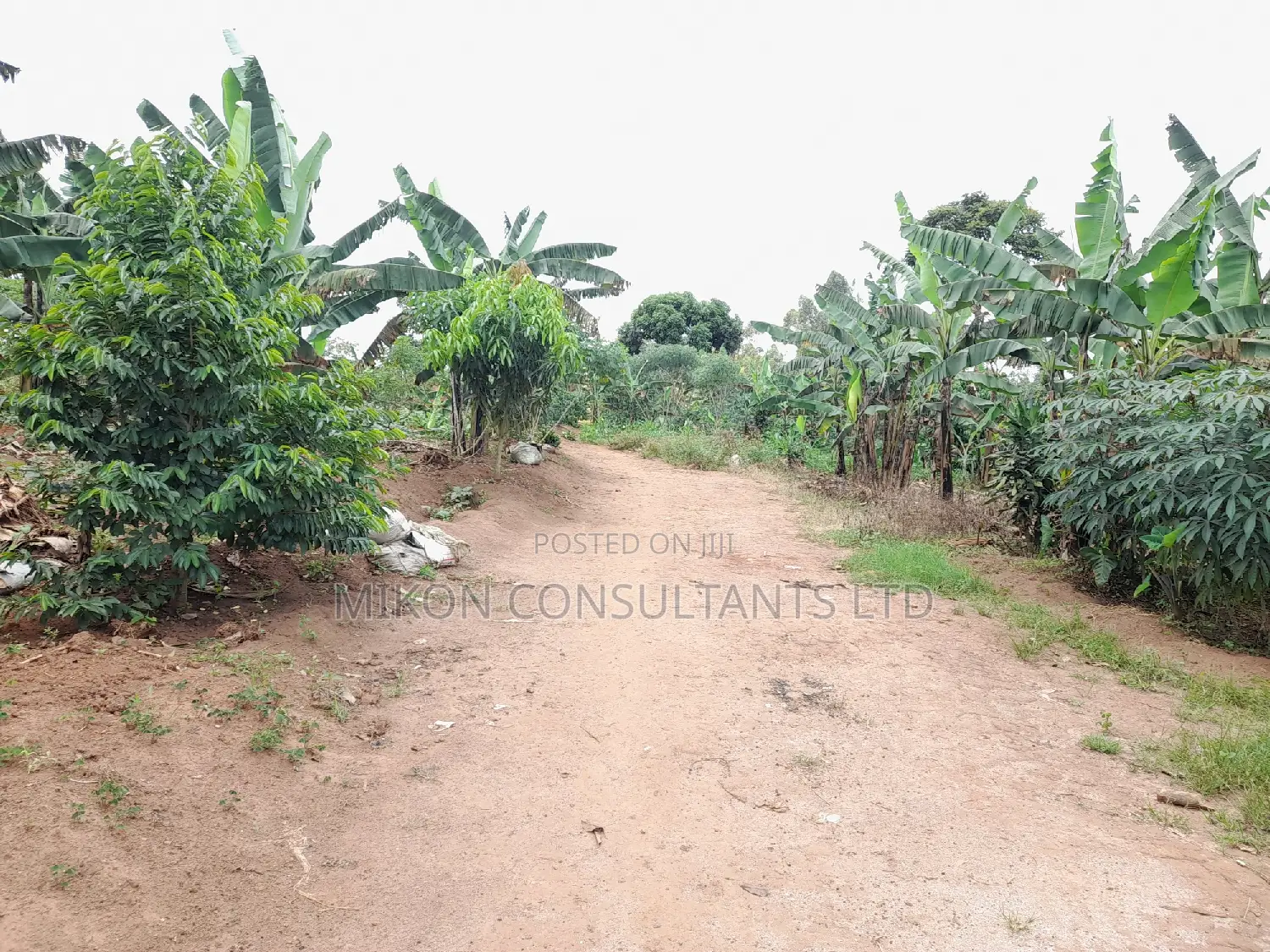 Hf Acre in Matuga Town on Sale at Only 65m