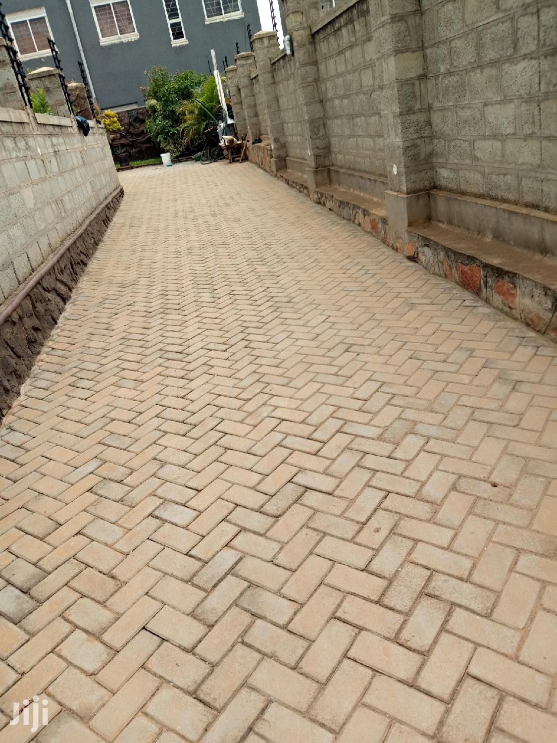 Kira Posh Castle For Sell In Tarmacked Neighborhood