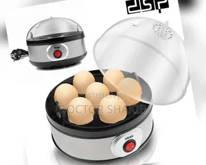 DSP Quality New Egg Boiler