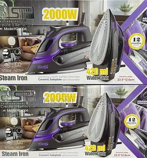 DSP Electric Steam Iron -2000w