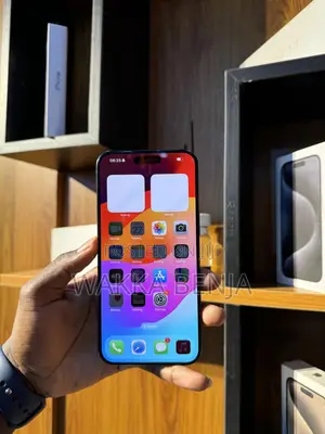 Apple iPhone 15 Pro Max 256 GB Black