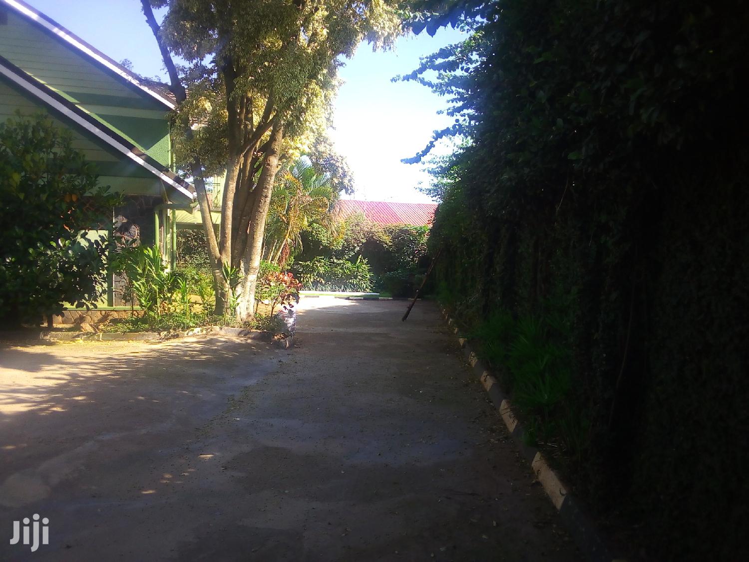 House For Rent