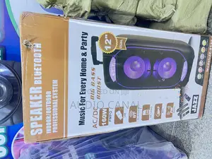 12” Jazz Rechargeable Speaker