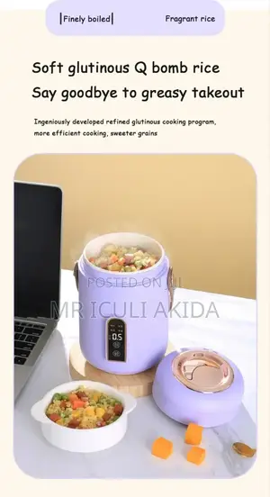 Electric Heating Stew Suop Office Pot Lunch Box Boiler