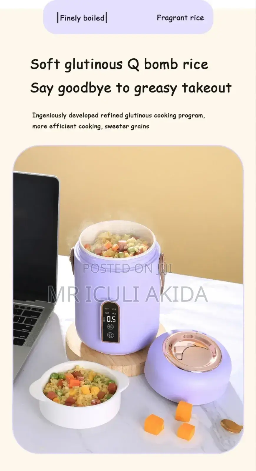 Electric Heating Stew Suop Office Pot Lunch Box Boiler