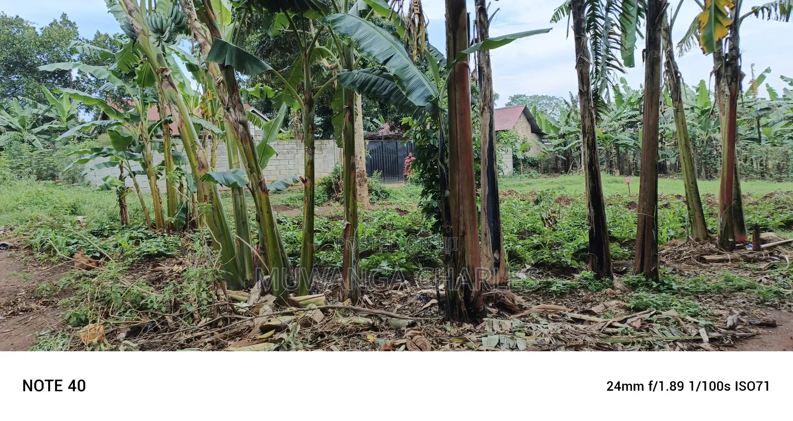 Plot for Sale in Gayaza