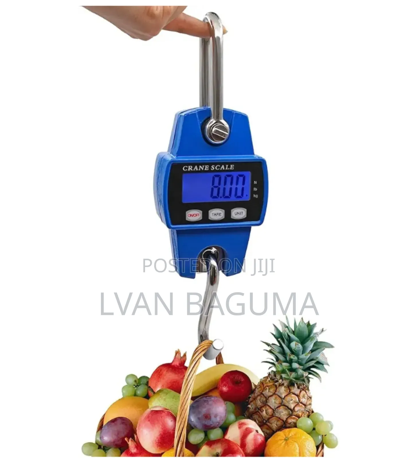 Mini Crane Scale - 300 KGS Capacity