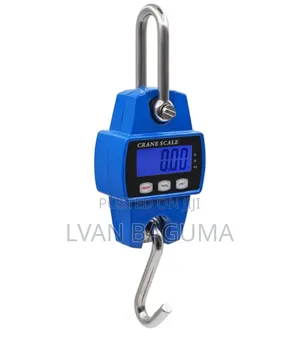 Mini Crane Scale - 300 KGS Capacity