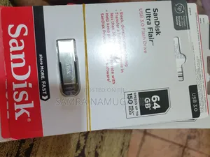 64GB Metal Sandisk Flashes