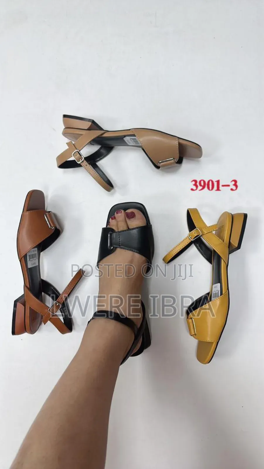 Simple Sheos for Women in 3 Colors