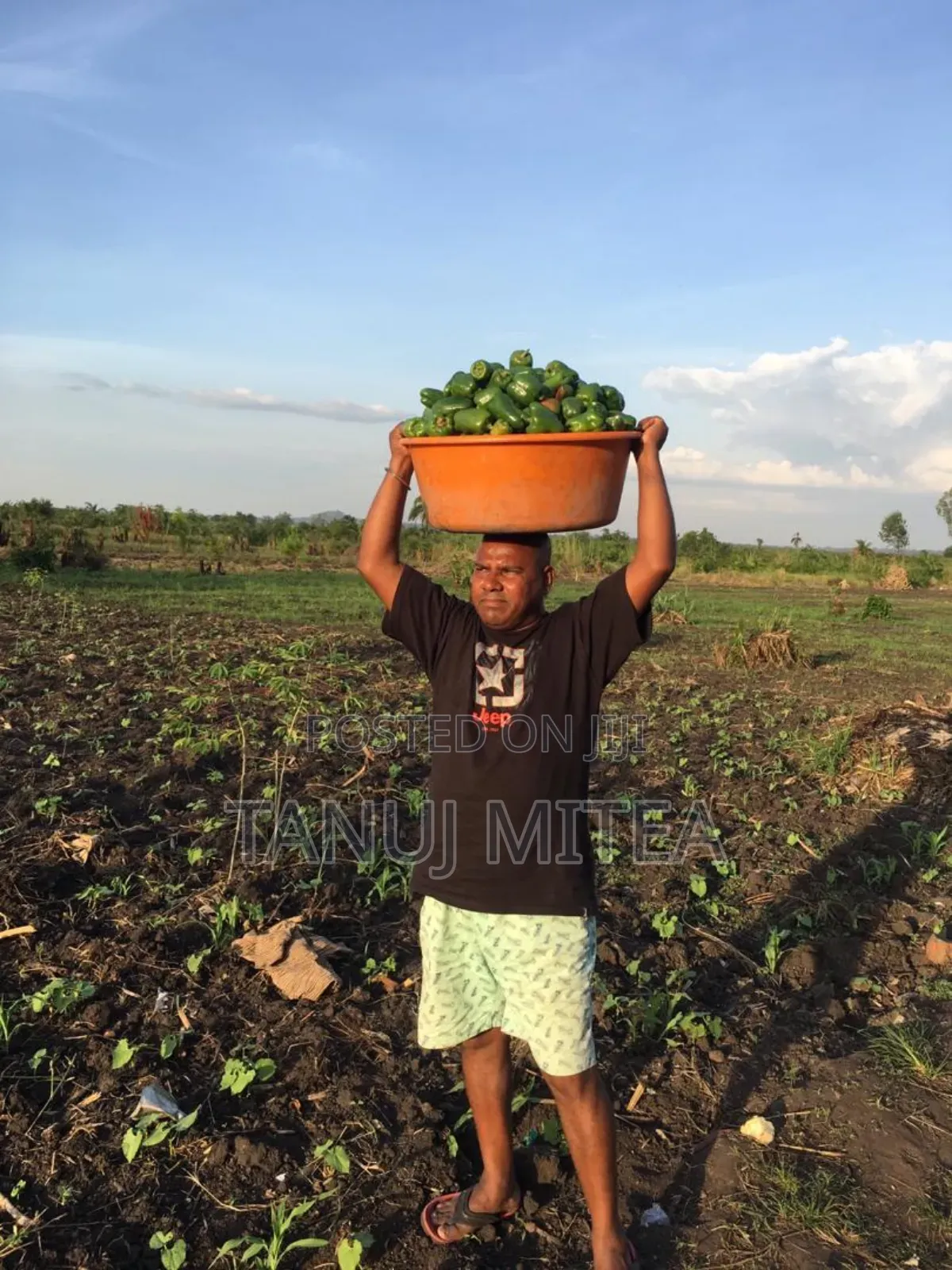 7 Acres Fertile Land With Fish Pond