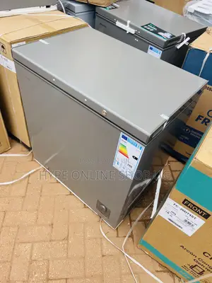 200L Business Chest Deep Freezer at 700000