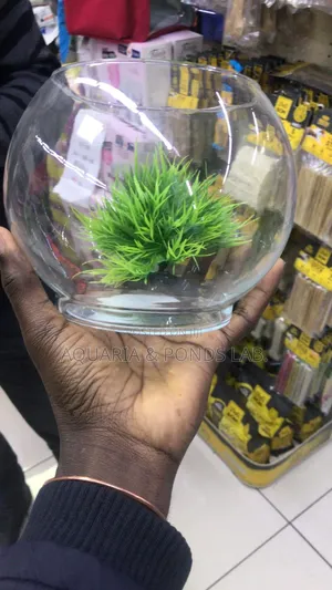 Cheap Fish Bowl