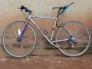Sports Bicycle