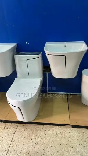 White Toilet Seat With White Basin