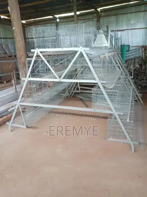 Layer Cages Used