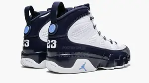 Air Jordan 9 Canvas