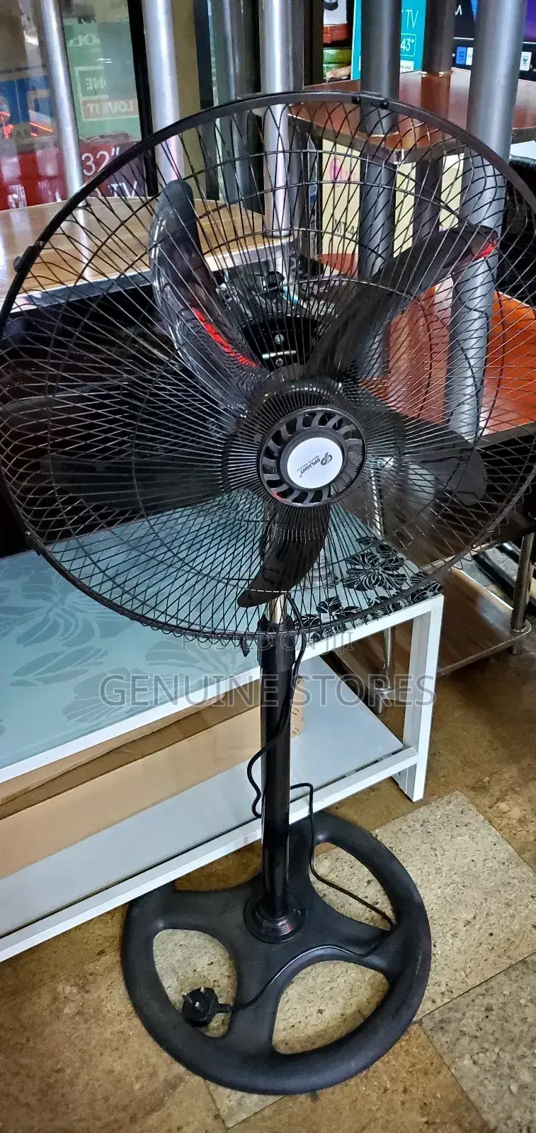 Electric Stand Fan