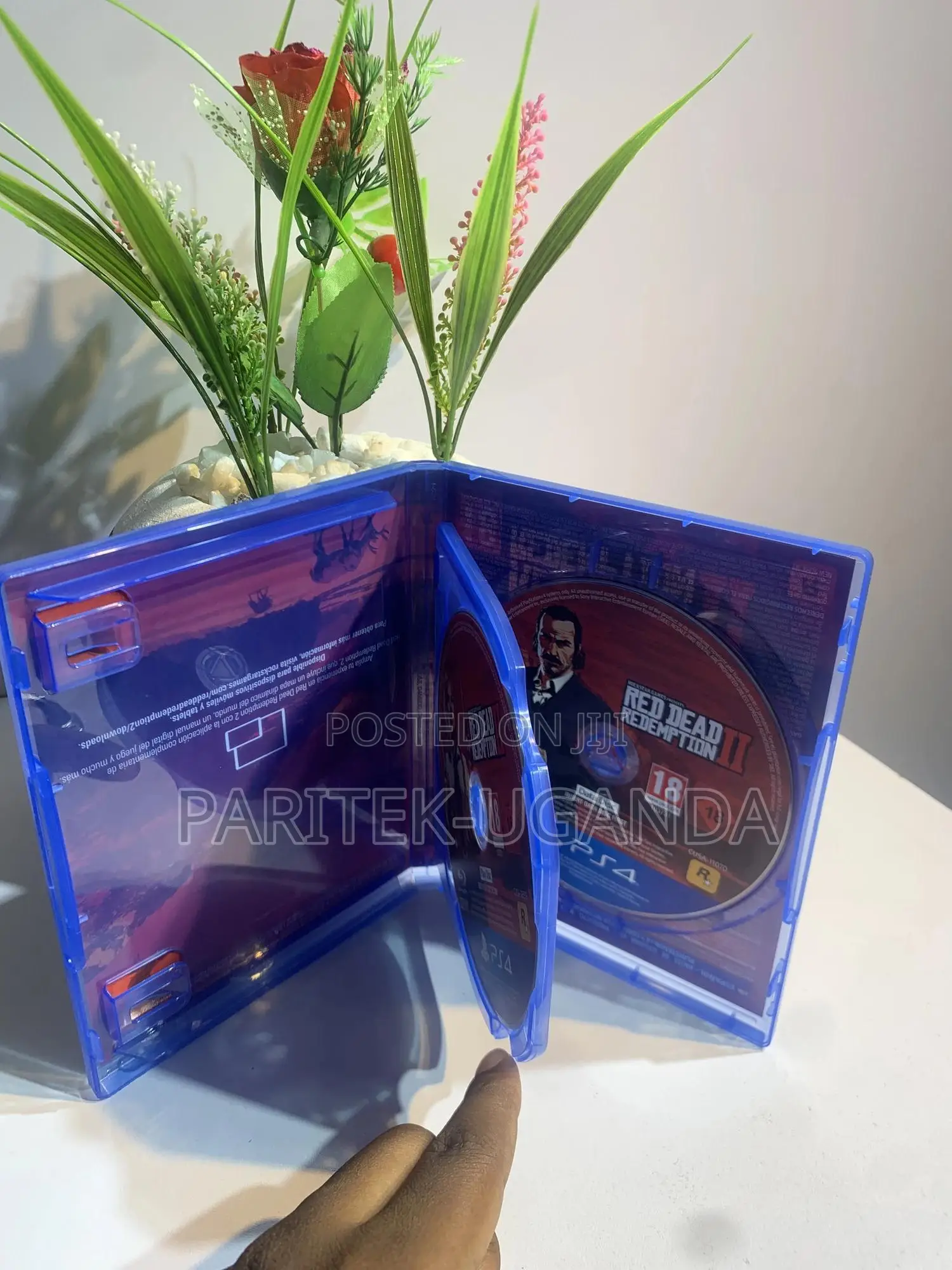 Red Dead Redemption 2