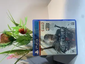 The Witcher Wild Hunt