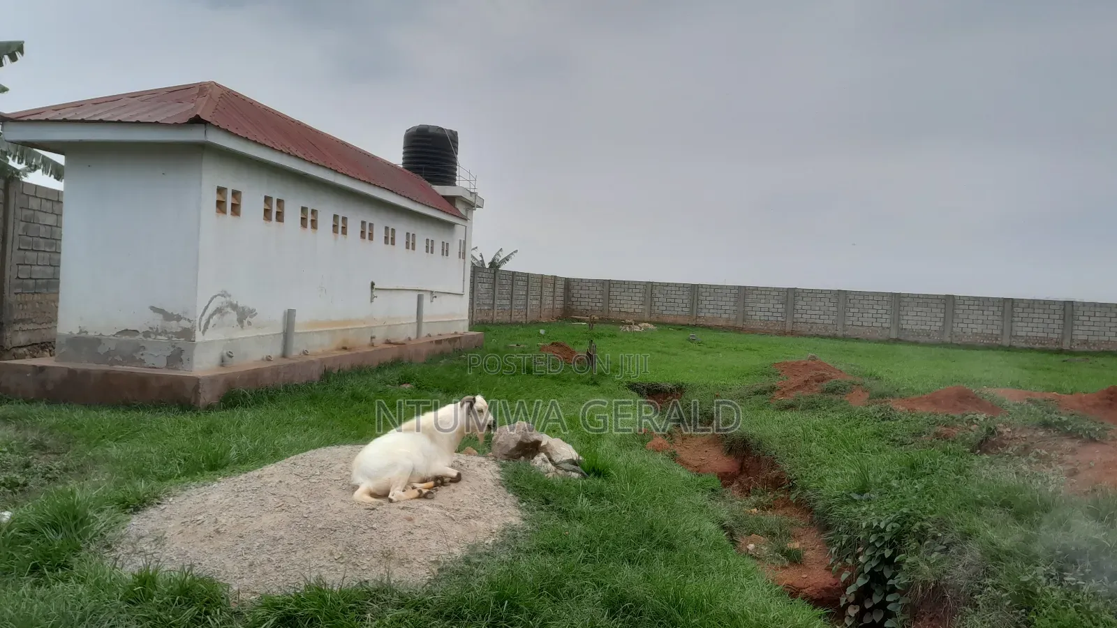 Warehouse for Sale in Namanve at $465000