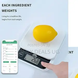 Electronic Digital Scale