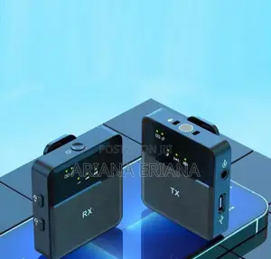 Photo - Professional Microphone Wireless Microphone System