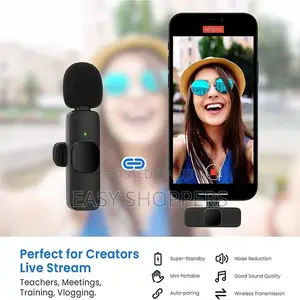  Wireless Microphone Double Mic for Type C