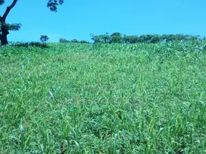 3acres of Commercial Land on Sale Located in Tooro Region
