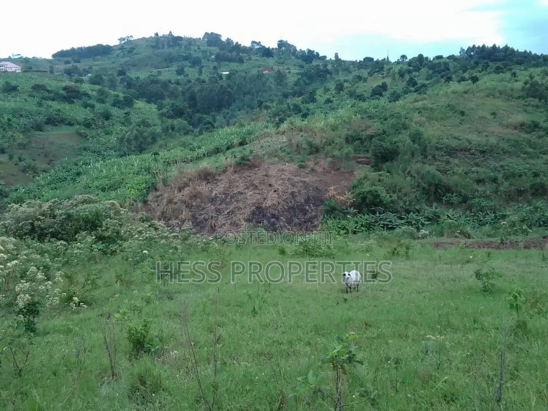 3acres of Commercial Land on Sale Located in Tooro Region