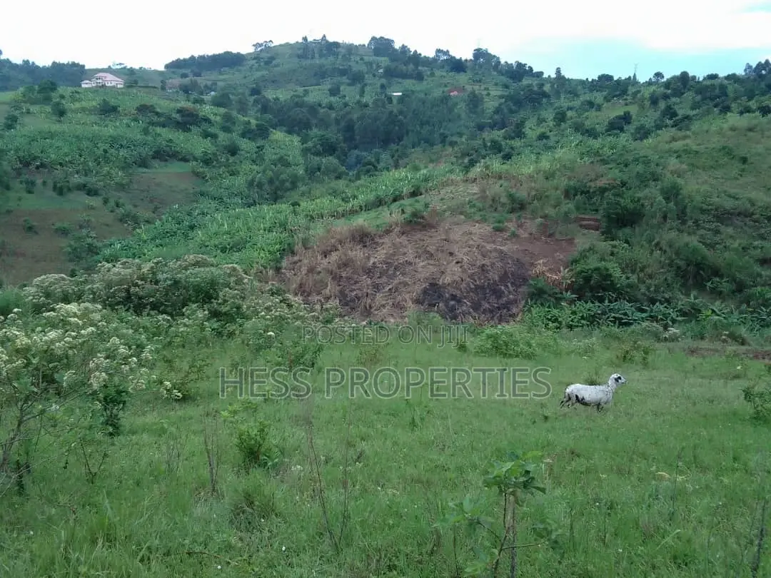 3acres of Commercial Land on Sale Located in Tooro Region