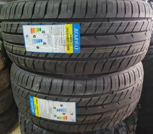 285 45 R21in the Type of BEARWAY. Tires for Big Boys