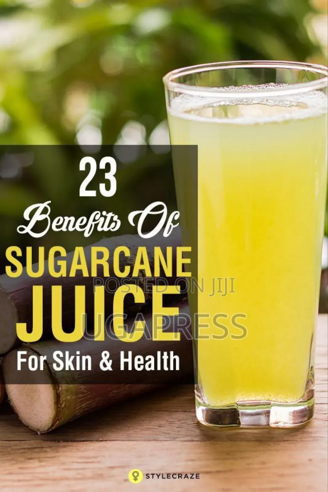 Sugarcane Manual Press