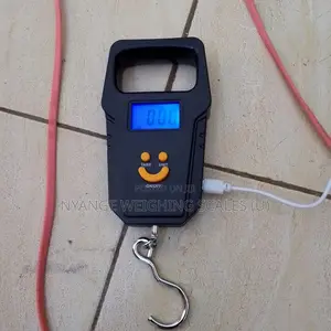 Rechargeable Portable Hanging Scale (50kg)