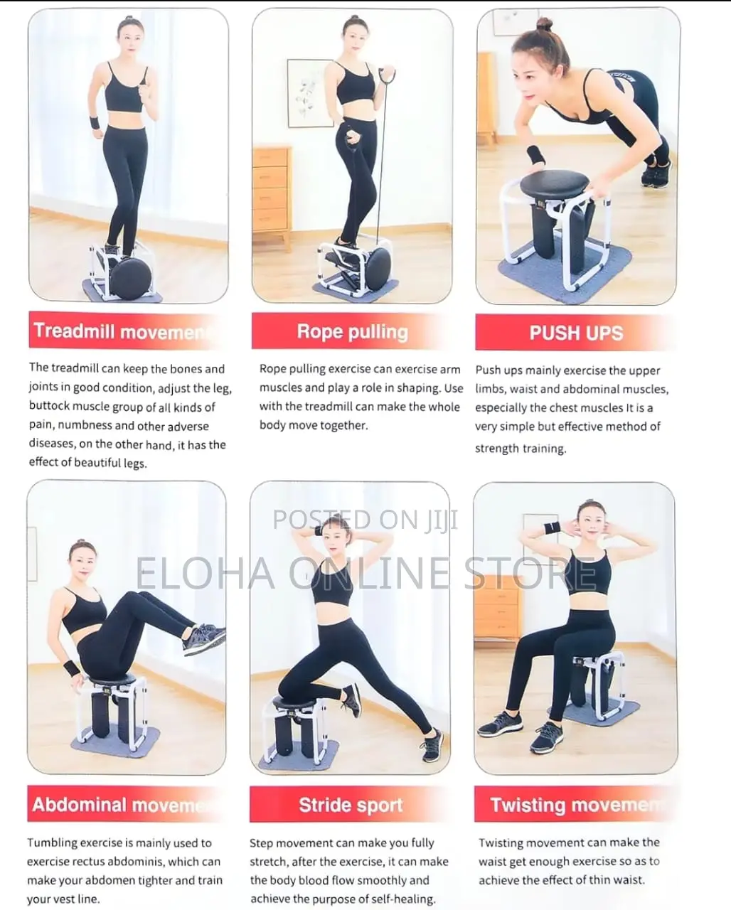 Multifunctional Fitness Twist Stepper