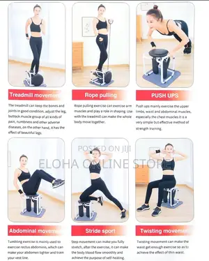Multifunctional Fitness Twist Stepper