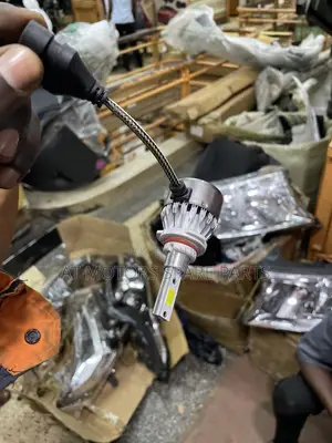 Led C6 Bulbs
