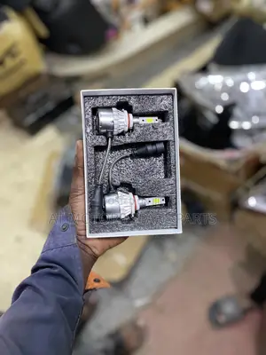 Led C6 Bulbs