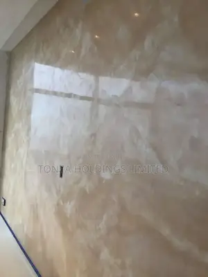 Italian Stucco Paint