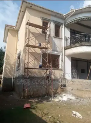 Professional Painting