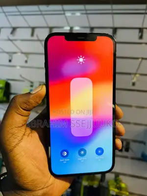 Apple iPhone 12 Pro Max 256 GB Blue