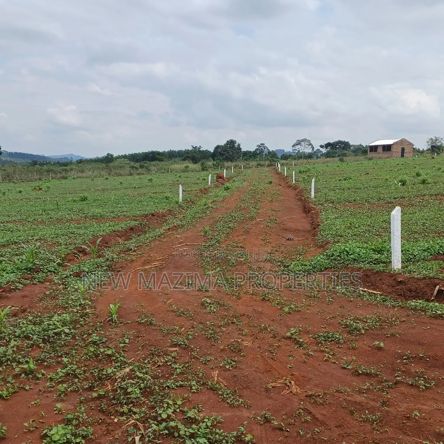 Veryprime New Estate With Ready Private Title Onsale Katende