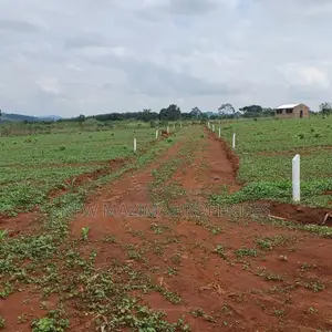 Veryprime New Estate With Ready Private Title Onsale Katende