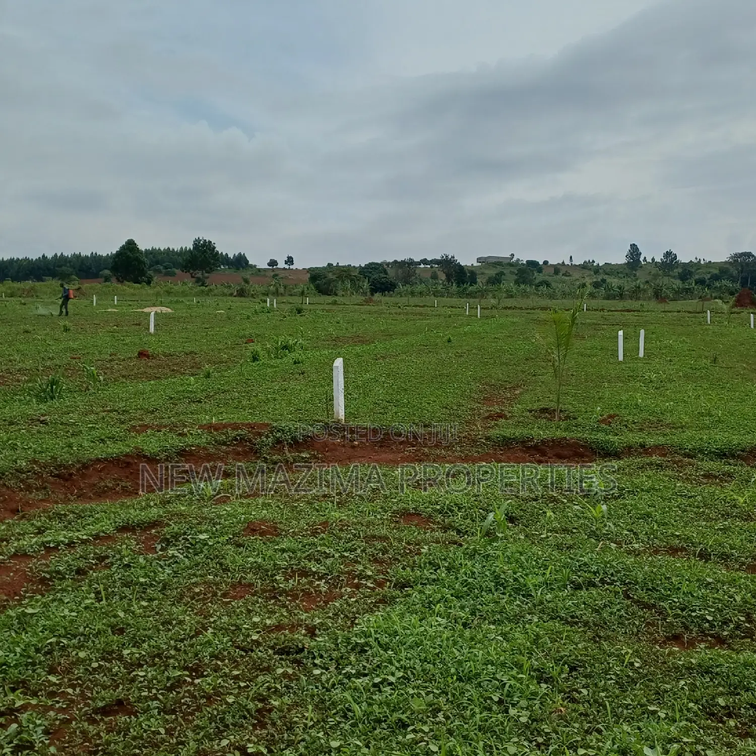 Veryprime New Estate With Ready Private Title Onsale Katende