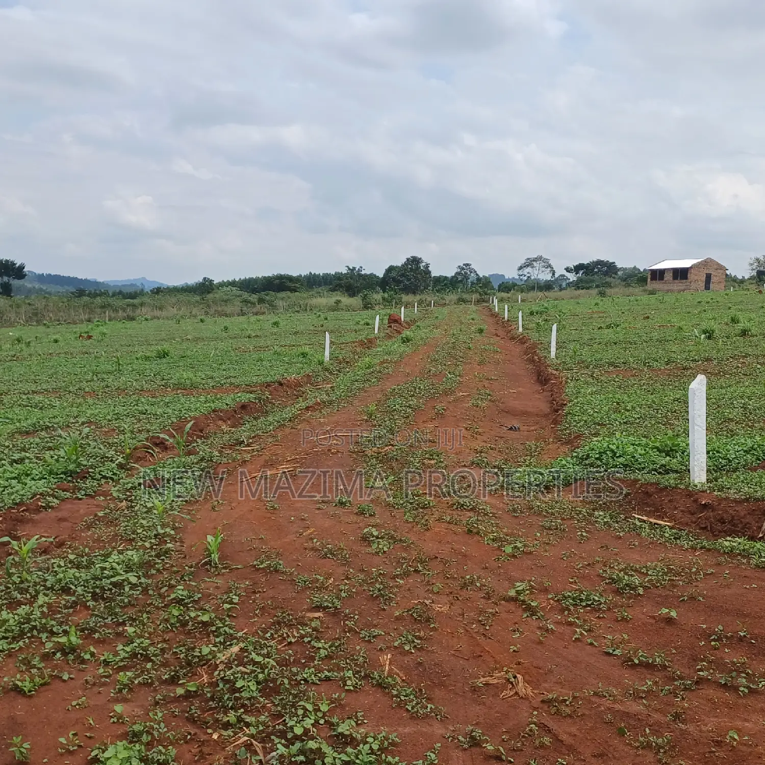 Veryprime New Estate With Ready Private Title Onsale Katende